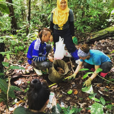 Dr Hannah Griffiths and research assistants Mirah, Ele and Kidus collect leaf litter from the rainforest floor. The sampling is to look at invertebrates that live in the leaf litter.